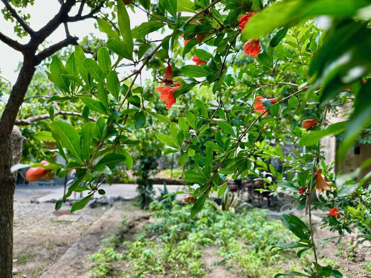 Cosy Studio With Beautiful Garden 耶烈万 外观 照片